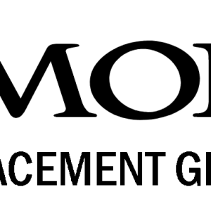 SMOK REPLACEMENT GLASS